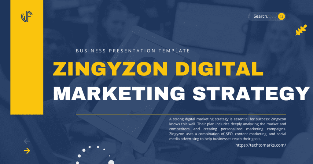 Zingyzon Digital Marketing Strategy